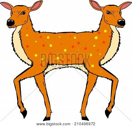 Two headed deer vector illustration clip-art eps