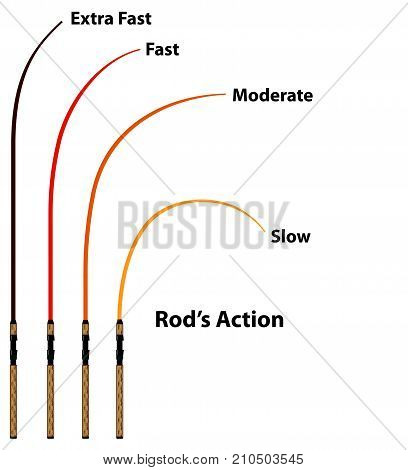 Fishing pole action diagram vector illustration image