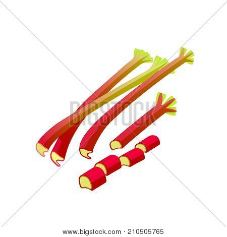 Vegetables. Rhubarb whole and chopped. Vector illustration cartoon flat icon isolated on white.