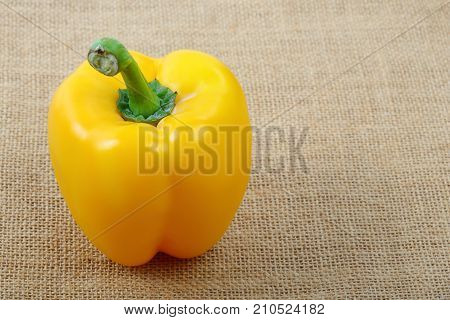 A beautiful of sweet yellow bell pepper on sack background.