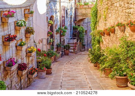 SPELLO, ITALY - MAY 27 2017 - View of a typical alley of Spello a medieval and beautiful town in Umbria.