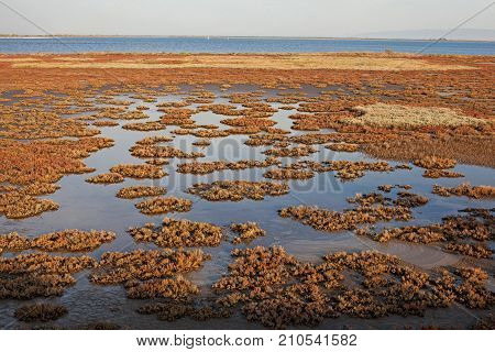 Evening landscape of Evros river in Greece.