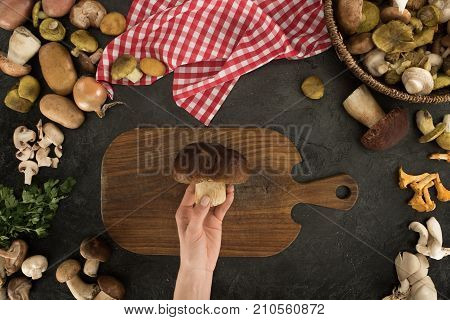 Woman Holding Mushroom In Hand