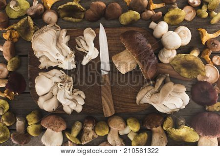 Different Types Of Mushrooms On Cutting Board