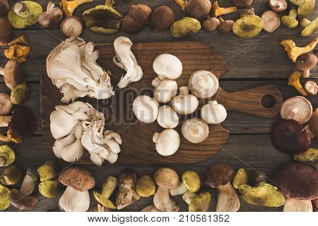 Different Types Of Mushrooms On Cutting Board
