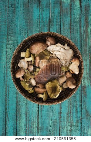 Wicker Plate With Different Mushrooms