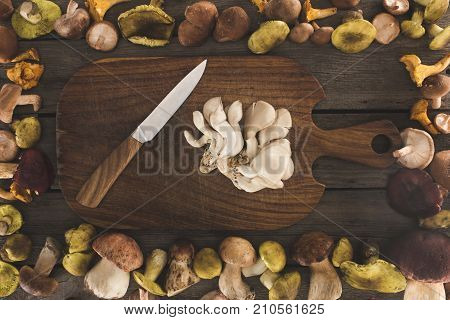 Oyster Mushrooms And Knife On Cutting Board