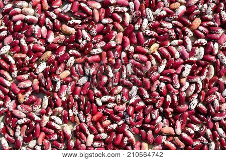 Closeup image of red white haricot kidney beans background