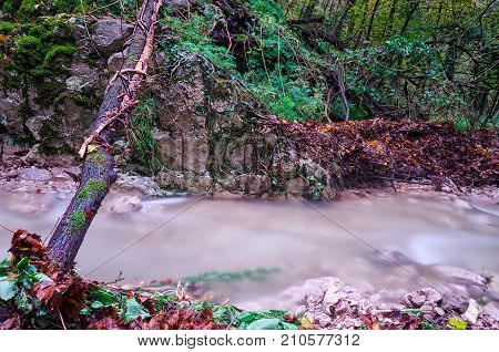 Beautiful river Vela Draga taken with long exposure in autumnn on the bottom of canyon Vela Draga, Croatia, HR