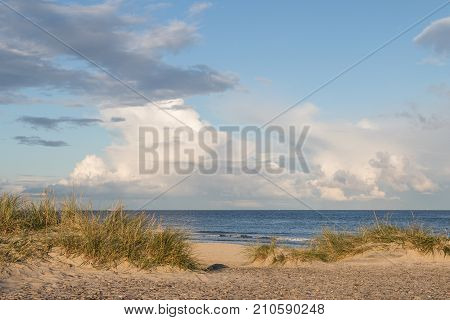 Beach, grass, ocean and blue sky with clouds at Grenen Skagen in Denmark