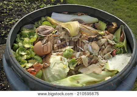 Kitchen Waste
