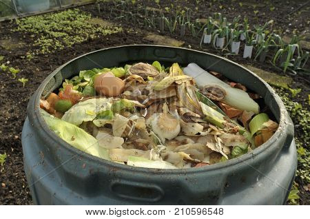Kitchen Waste