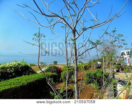 Beautiful view of the Sea of Galilee Tiberias Mount of Blessedness Israel The Sermon on the Mount