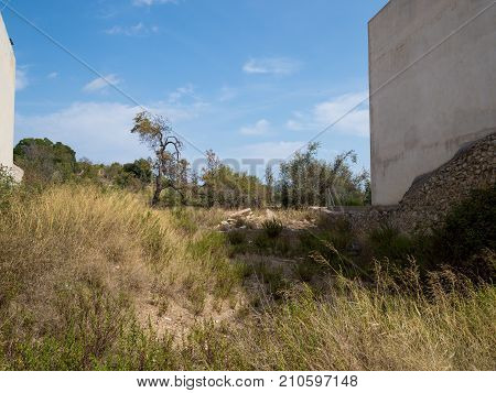 Undeveloped land in the old town of arta mallorca Balearic Islands