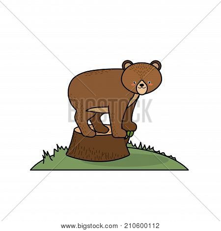 cute bear animal in bole wood tree vector illustration