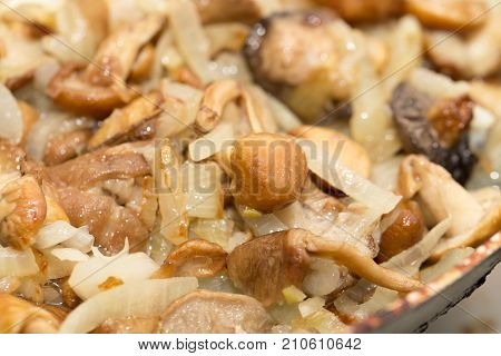 mushrooms and onions . Photo of an abstract texture