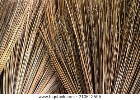 Close up Broom Thai traditional hand craft mad by coconut branch show detail texture of the coconut branch.
