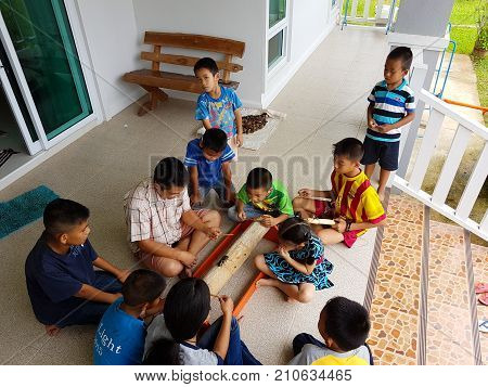 CHIANG RAI THAILAND - SEPTEMBER 9 : Unidentified asian children watching rhinoceros beetle fighting on September 9 2017 in Chiang rai Thailand.