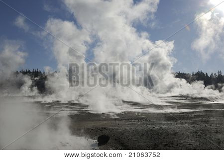 Norris Geyser Basin
