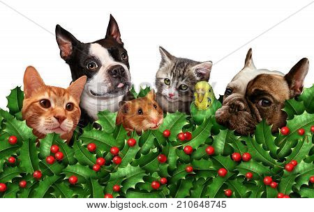 Cute seasonal holiday pet group horizontal background with red berries and holly leaves as a winter christmas classic decoration and new year celebration adorable animals ornament isolated with 3D illustration elements.