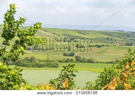 winegrowing scenery around Loerzweiler in the Rhineland-Palatinate in Germany at spring time