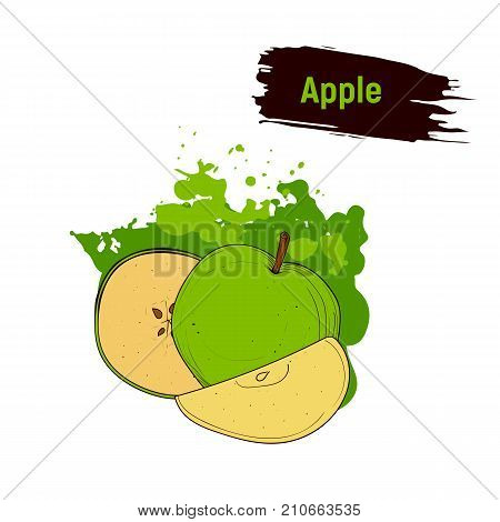 Colored Sketch Green Apple.