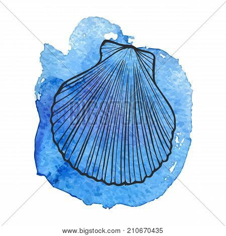 vector sea shell at blue watercolor background, hand drawn illustration