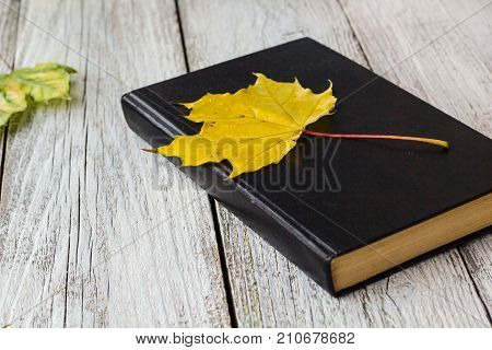 Book and colorful maple leaves on white wooden background.