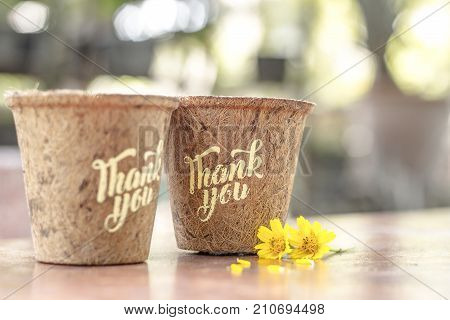 Give Thank you calligraphy on flowerpot and autumn with yellow blossoms on bokeh background in the garden. Free space for your own text for special day and holiday. Thankful concept,Thank giving day