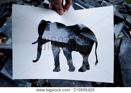 crafting cut out work. craftwork subject animal