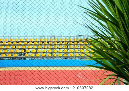 Spectator tribune in a stadium with yellow seats through a grid with a palm tree in the foreground.