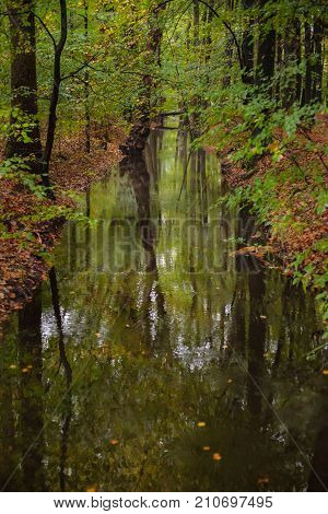 The leuvenumse creek is one of the few natural streams in Dutch nature. This brook is the longest of the Veluwe and is a beautiful place at the autumn season. Atmospherically colored autumn leaves make it an attractive setting