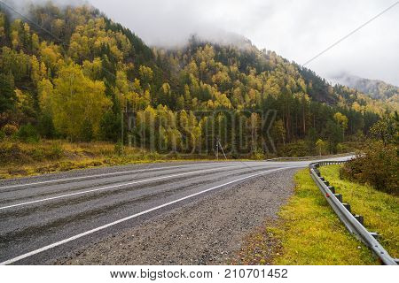 Federal highway M-52 Chuysky tract, asphalt road with markings among the autumn trees. Russia, the Altai Republic.