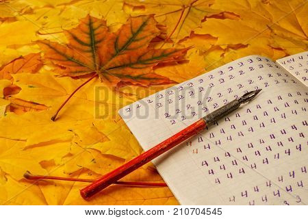 Old School Exercise Book With A Wooden Ink Pen On A Background Of Yellow Maple Leaves. A Exercise Bo