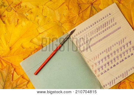 Old School Exercise Book With A Wooden Ink Pen On A Background Of Yellow Maple Leaves. A Exercise Bo