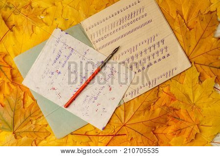 Old School Exercise Book With A Wooden Ink Pen On A Background Of Yellow Maple Leaves. A Exercise Bo