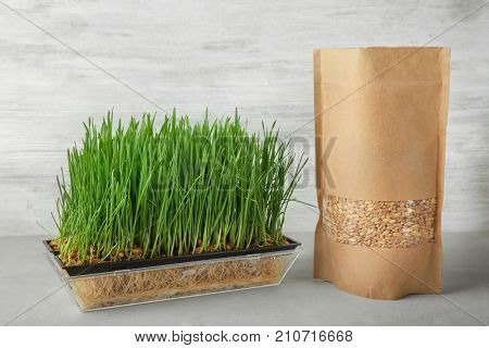 Sprouter with wheat grass and seeds in paper package on table