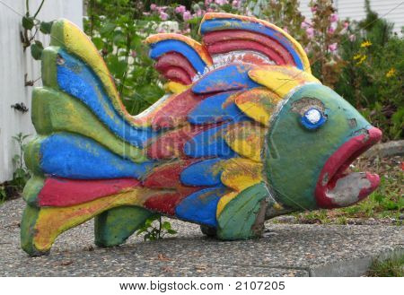 bunte Fische