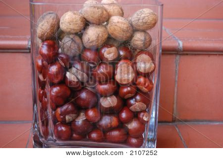Porca & de castanhas