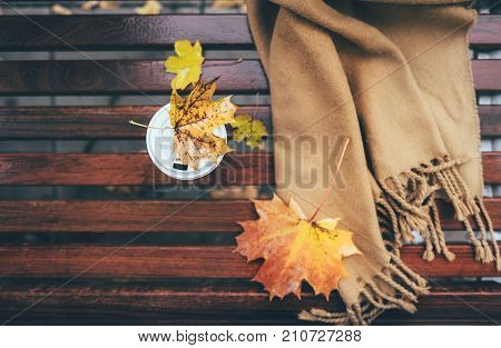 Wool scarf and paper cup with cooffe arre on wet brench in autumn park