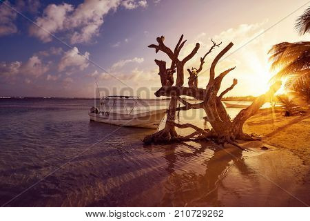 Mahahual Caribbean beach sunset in Costa Maya of Mayan Mexico