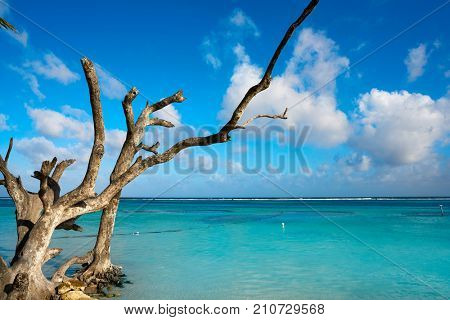 Mahahual Caribbean beach in Costa Maya of Mayan Mexico