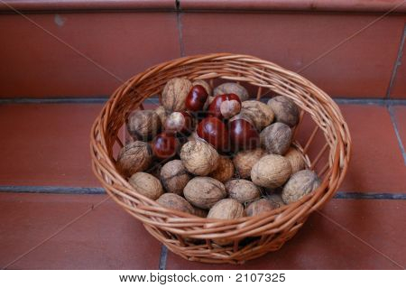 Porca & castanhas