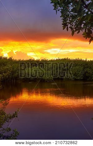 Mangroove sunset in Riviera Maya of Mayan Mexico
