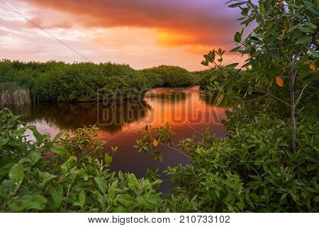 Mangroove sunset in Riviera Maya of Mayan Mexico