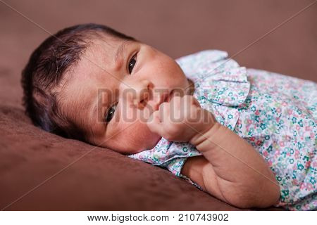 Close up portrait of a cute two weeks old newborn baby girl lying down, eyes open and looking around wearing a floral dress