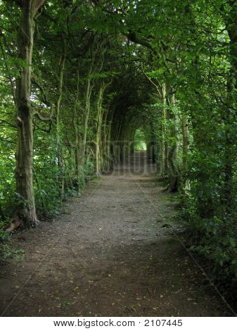 Spooky Pathway