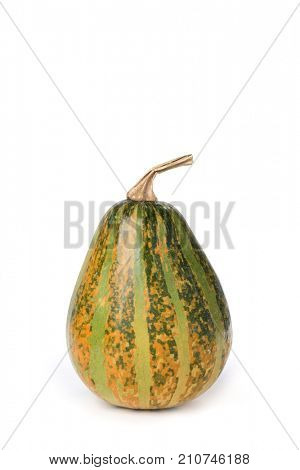 closeup of a pumpkin on a white background with a blank space on top