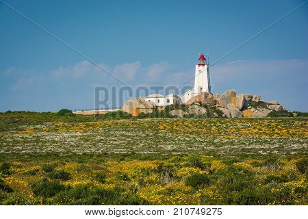 Paternoster lighthouse with a field of spring wildflowers in the foreground