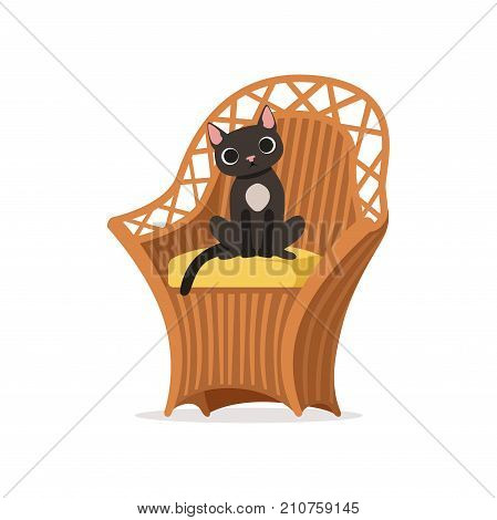 Lovely black cat sitting on a wicker chair vector Illustration on a white background